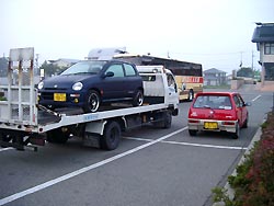 ���vIC�O�̂����̂�ɂ�