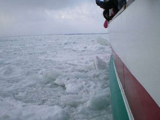 流氷帯を進むおーろら号