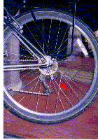 �܂ꂿ����Ă܂��c������??�i���j