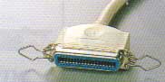 cent36-mesu.jpg (6097 �o�C�g)