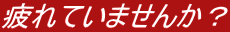 ���Ă��܂��񂩁H
