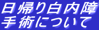 ���A�蔒�����p�ɂ��Ă̐���