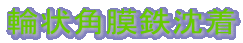 �֏�p���S����