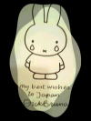 DickBruna����̂���