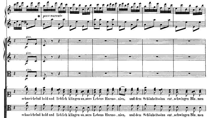 fant-op80-5.gif (66853 �o�C�g)