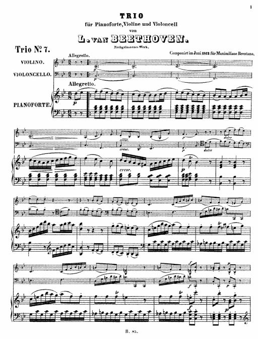 piano_trio_allegretto_woo_39.jpg (101846 �o�C�g)