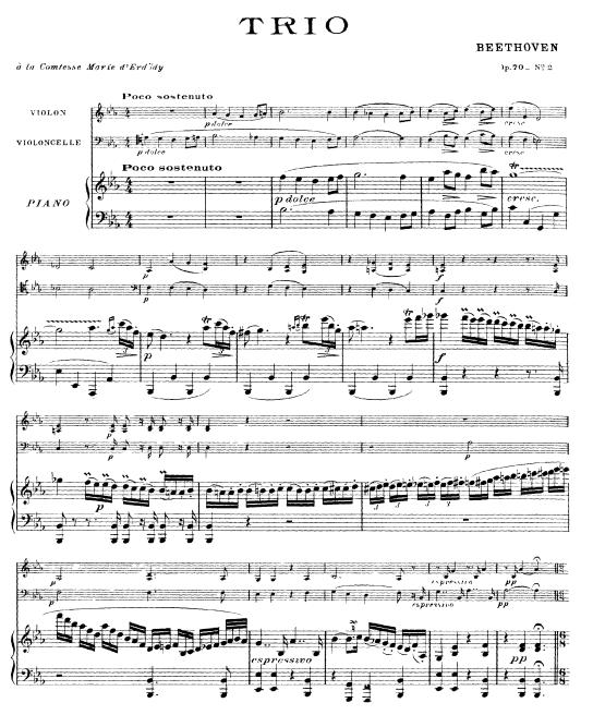 piano_trio_no_6_op_70-2.jpg (83212 �o�C�g)