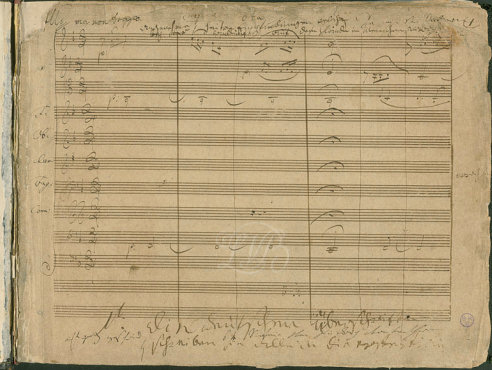 sample_manuscript.jpg (52557 �o�C�g)