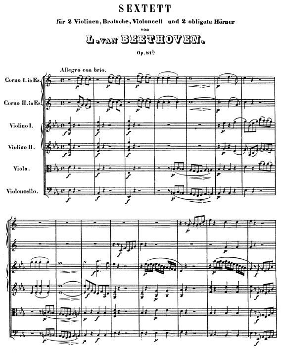sextet_op_81b.jpg (86458 �o�C�g)