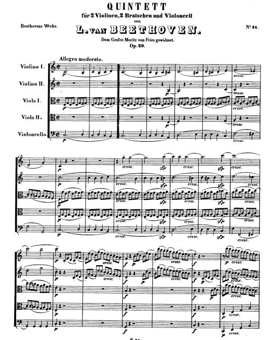 string_quintet_op_29.jpg (93636 �o�C�g)