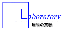 T-laboratory