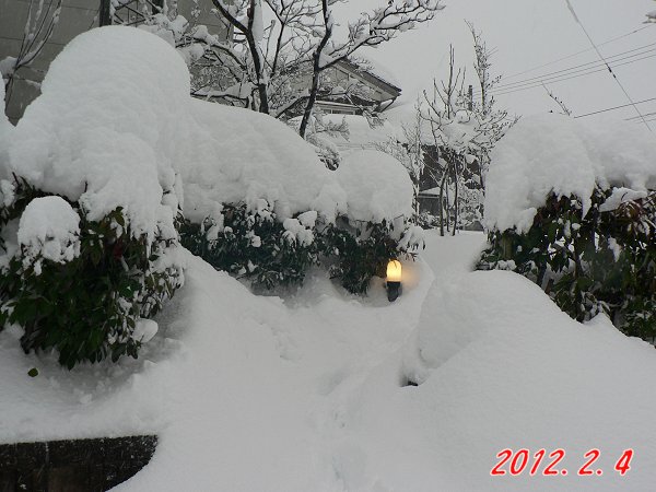 2012.02.04�� �� �� �䂫�`