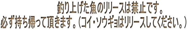 �@�@�@�@�@�@�@�@�@�@�@�ނ�グ�����̃����[�X�͋֎~�ł��B �K�������A���Ē����܂��B�i�R�C�E�\�E�M���̓����[�X���Ă��������B�j