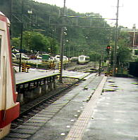 �T���_�[�o�[�h