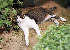 ��ł̂тĂ��郂��