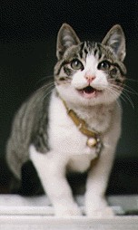 �����K�I�[ 02