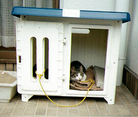 �����̂��Ɓ@�O�U