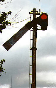 �������w�̎�O�ɂ���r�؎��M���@