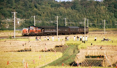 マイテ492を撮影する鉄道ファン 和歌山市内原にて