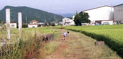 野上中駅跡の廃線跡で遊ぶ子供