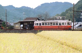 93.10.23 実りの秋