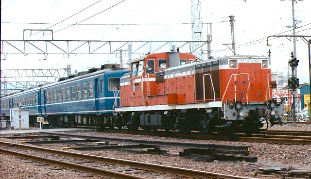 �c�d�P�O�P�P�X�O