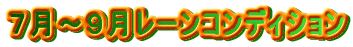 �V���`�X�����[���R���f�B�V����