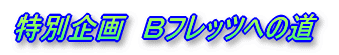 特別企画 Bフレッツへの道