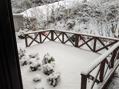 snow2022.jpg