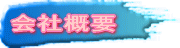 ЊTv