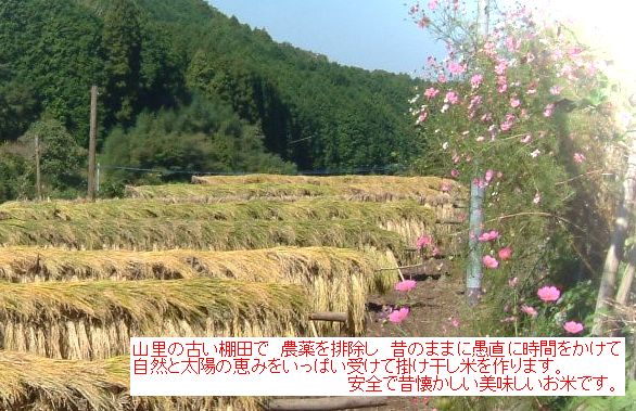 |摜