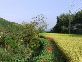 H摜