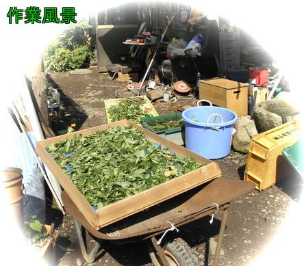 準備風景